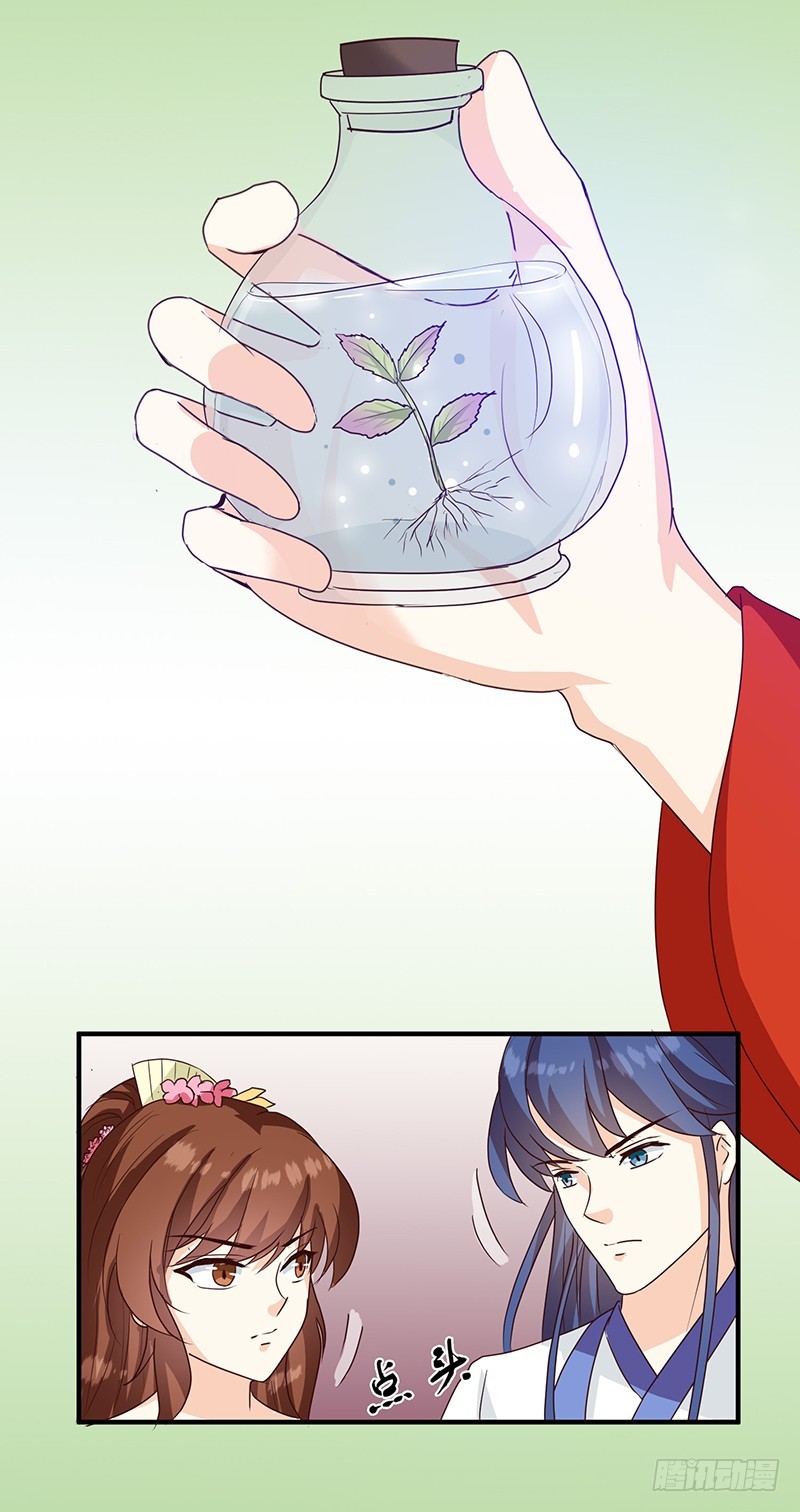 第126话 带你去药城-第127话