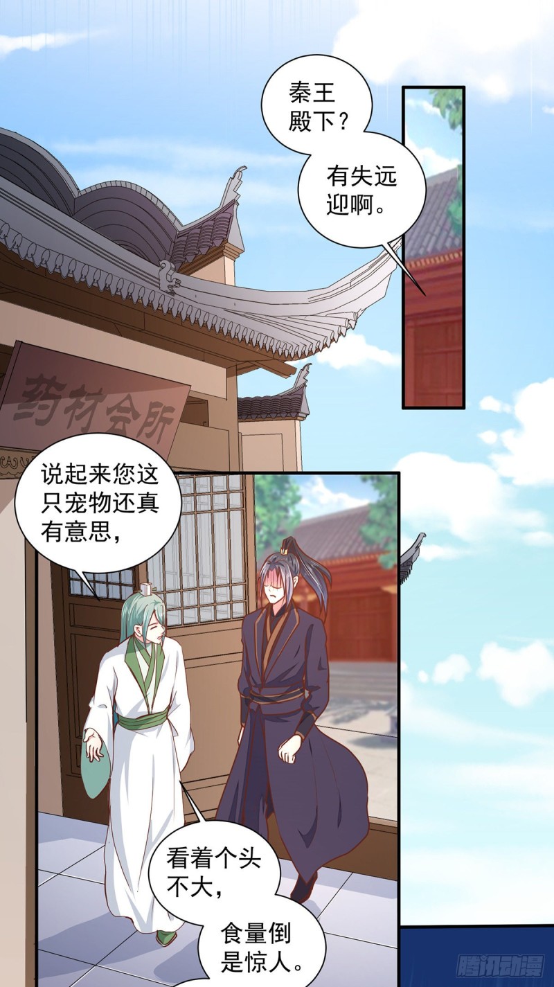 第208话 充满谜团的哑婆婆-第209话