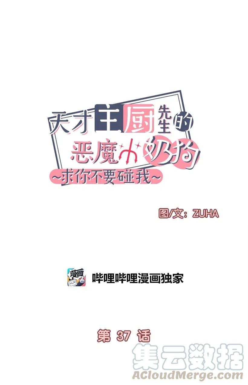 天才主廚先生的惡魔小奶狗-求你不要碰我- - 37 我想一直對你好 - 5