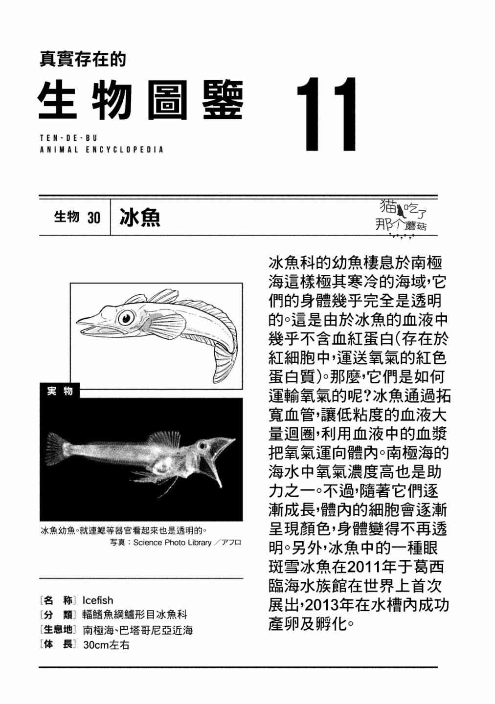 天地創造設計部 - 11話 - 3