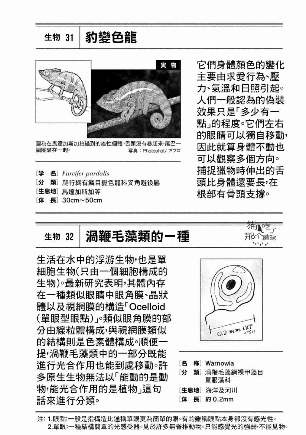 天地創造設計部 - 11話 - 4