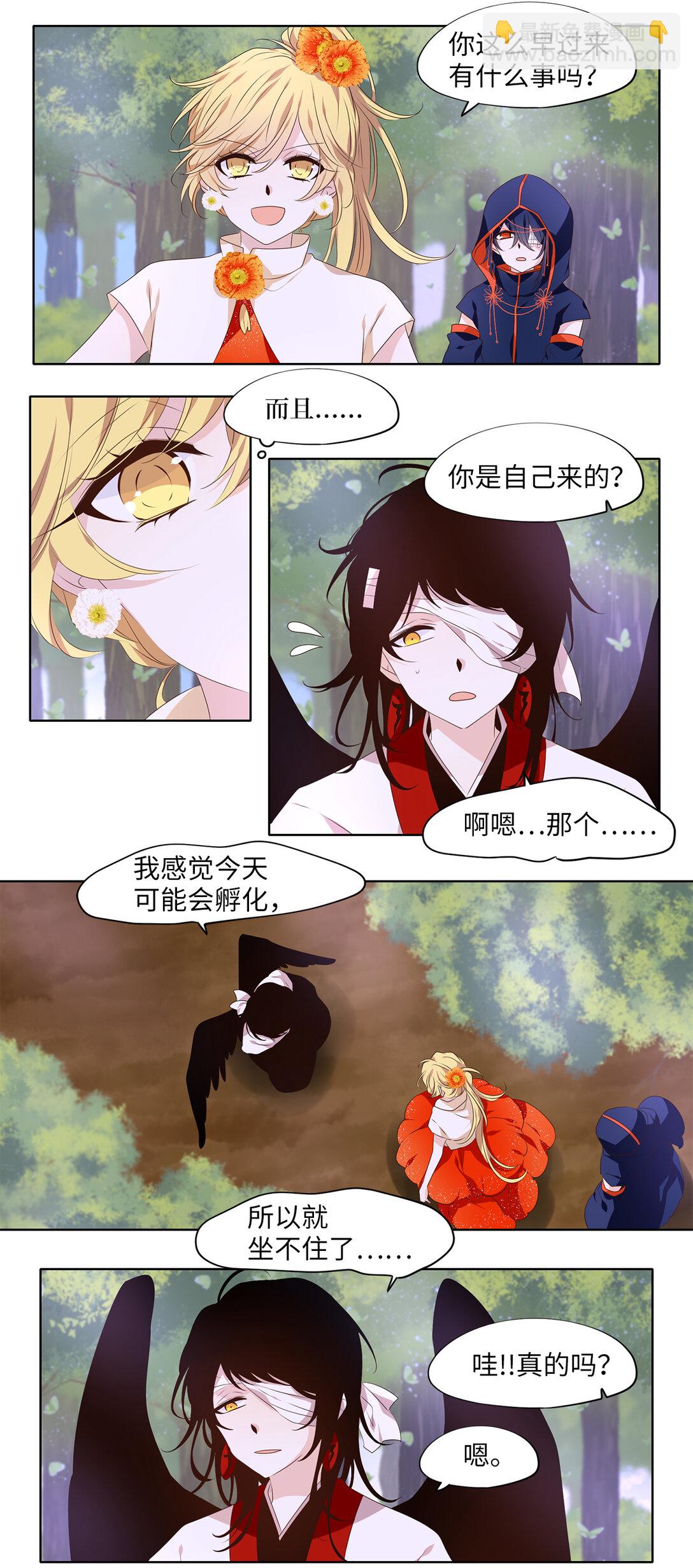 323 朱雀的摇篮（十五）-第323话