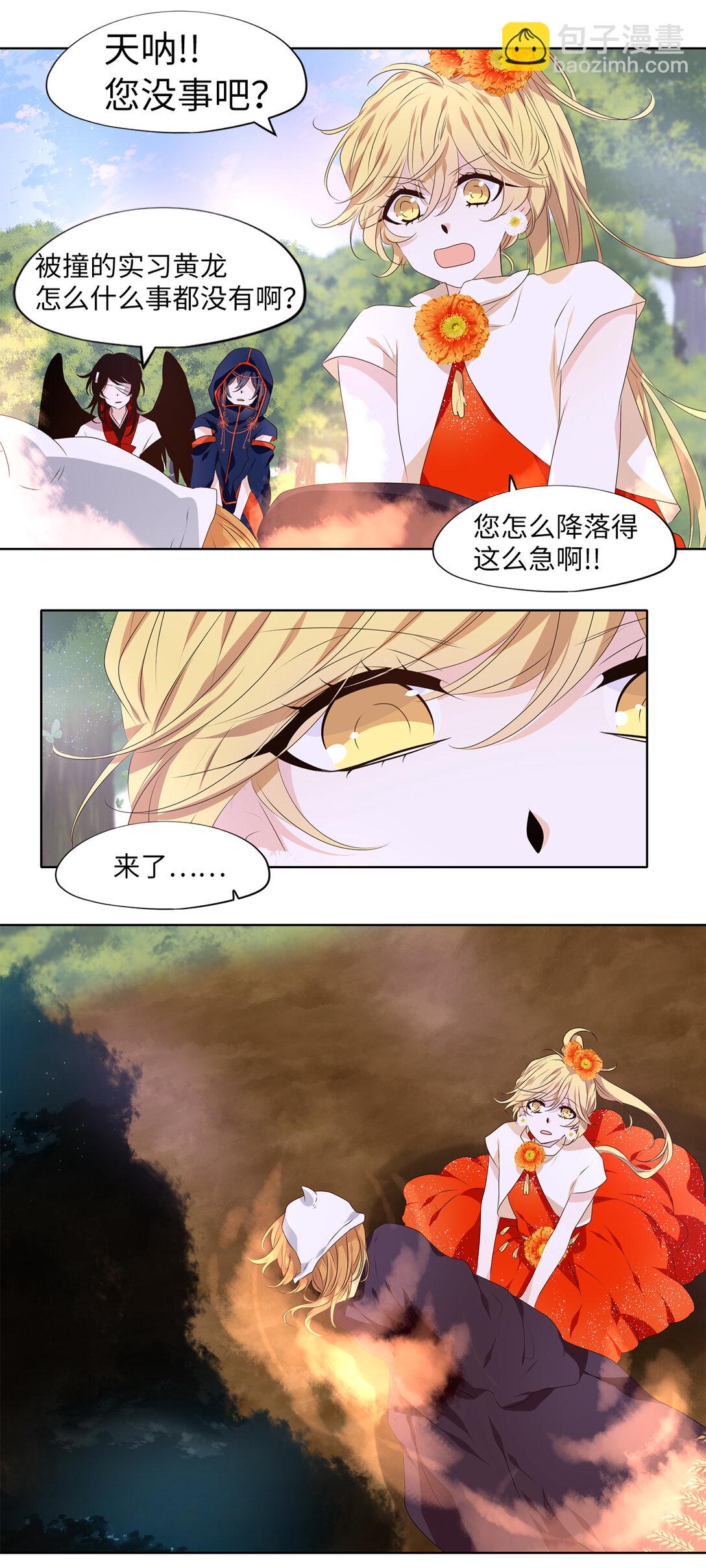 323 朱雀的摇篮（十五）-第323话