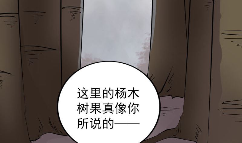 天降橫禍 - 第340話 神秘老人(1/3) - 3