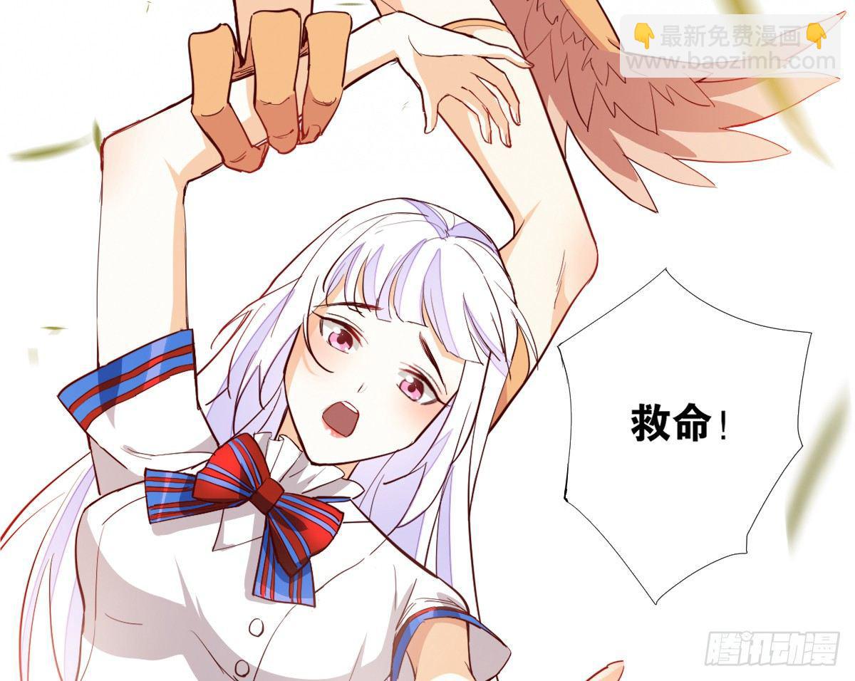 天界代購店 - 鷹爪女妖(1/2) - 1