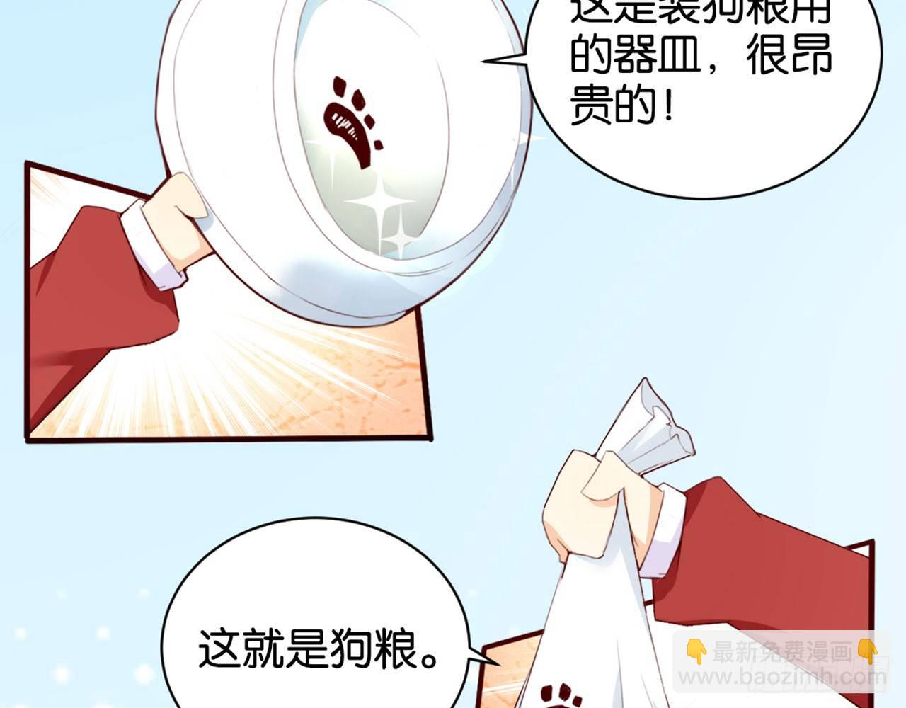 天界代購店 - 狗糧換法寶(1/2) - 7