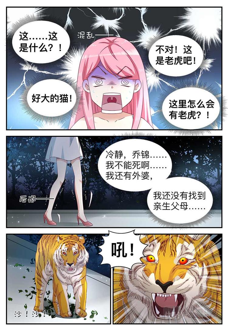 第15话 蠢女人-第15话