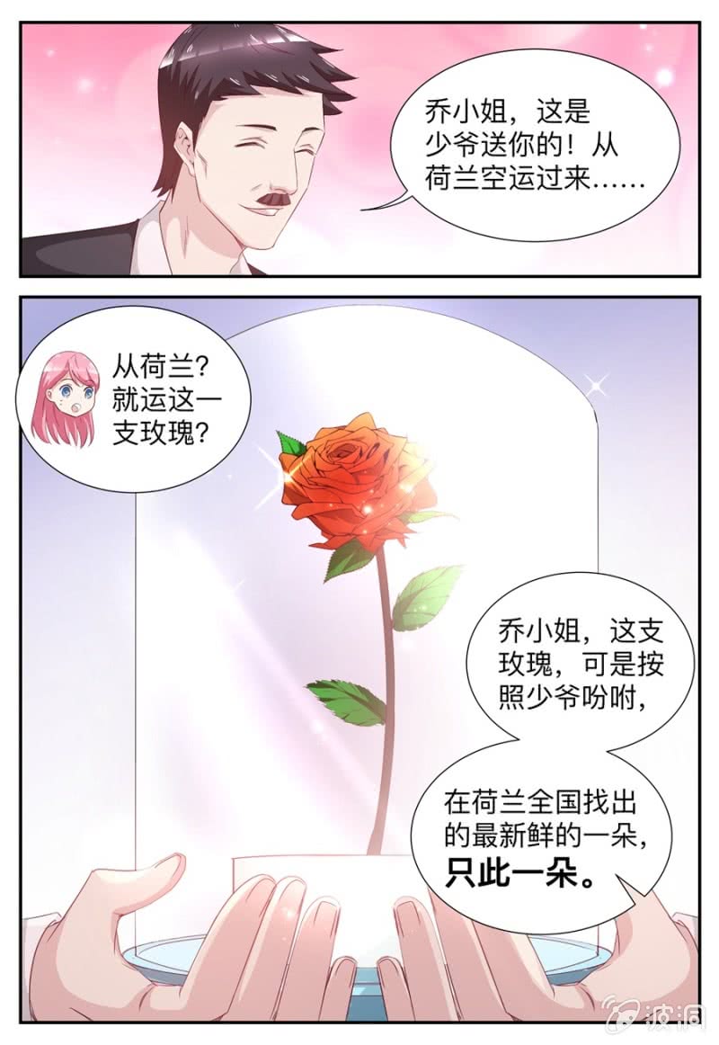 第53话 玫瑰花-第53话