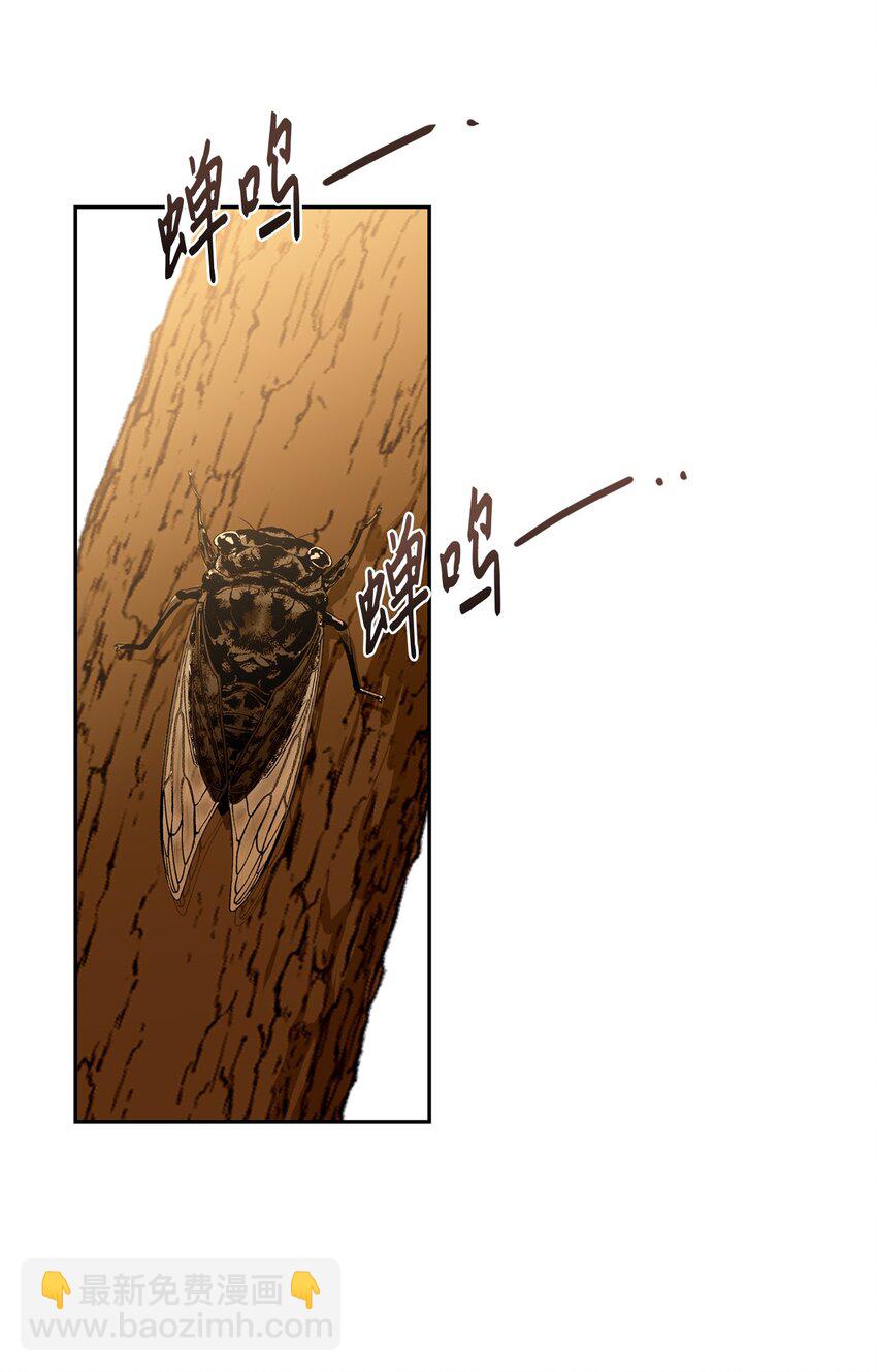 41 斩断(1/2)-第43话