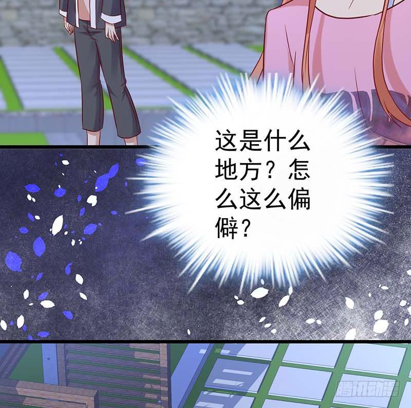 点心界的江湖(1/2)-第39话