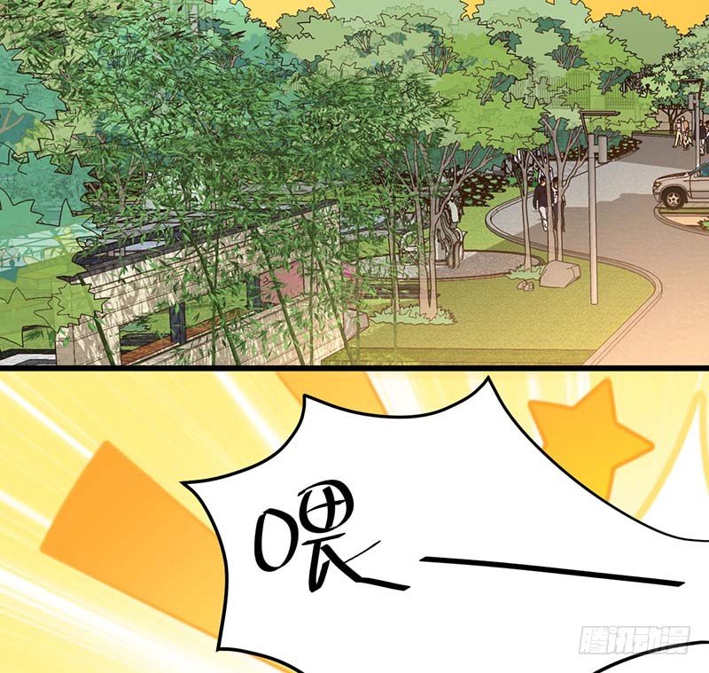 凤鸣于林(1/2)-第5话