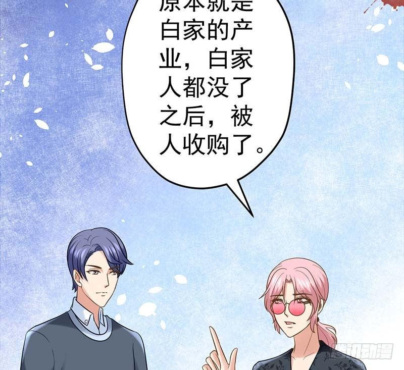 凤鸣于林(1/2)-第5话