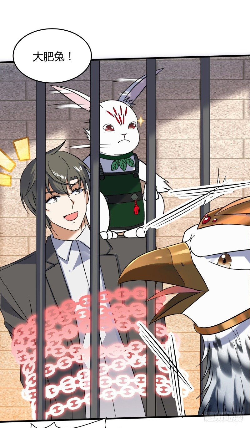 023 这兔子来历还不小啊-第25话