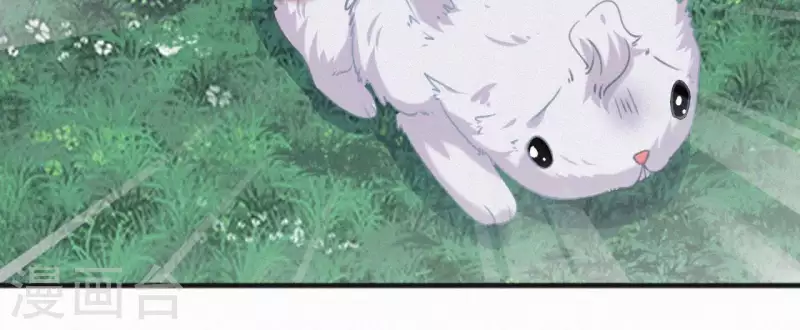 第31话 我好怕(1/2)-第31话