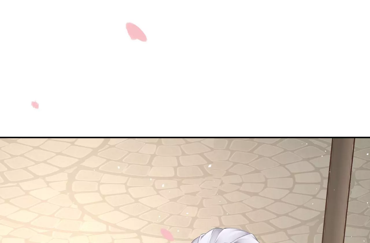 第33话 鉴伪镜创始人(1/2)-第35话