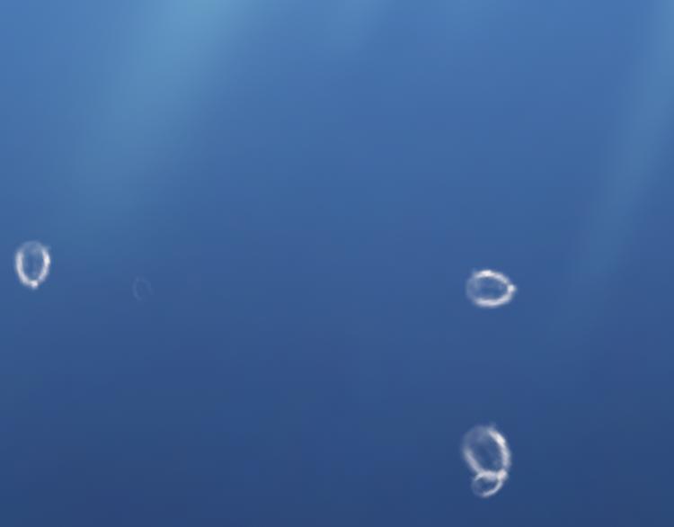 第19话 海中的吻(1/2)-第19话