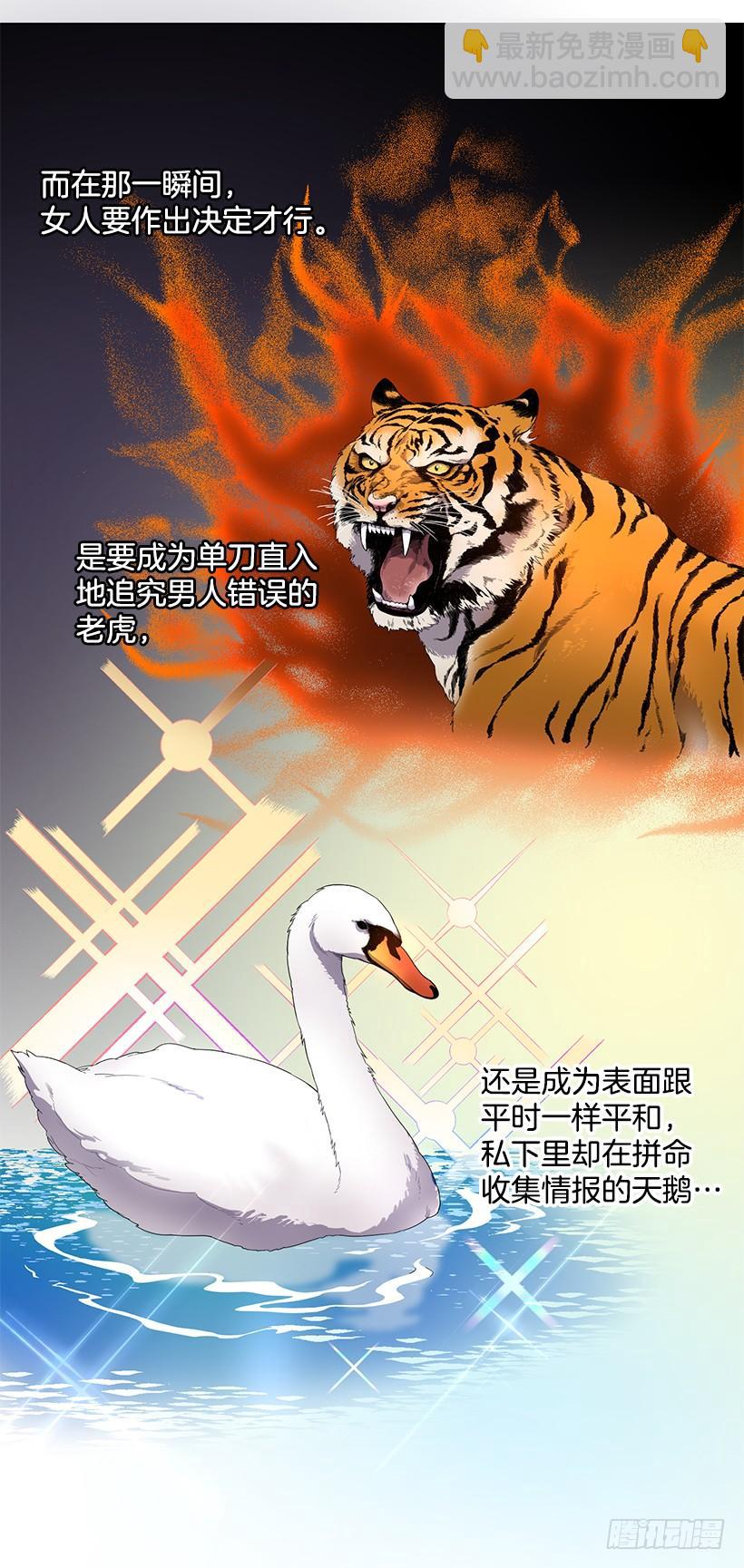 收集情报的天鹅(1/2)-第49话