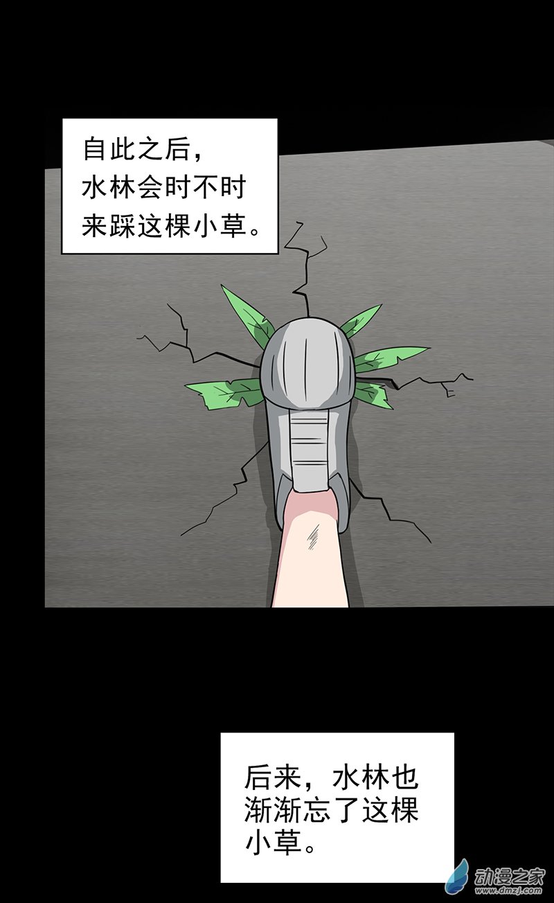 第36话(1/2)-第37话