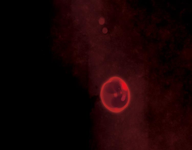 第13话 罪孽(1/4)-第13话