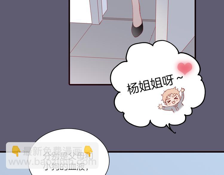 第5话 调查(1/2)-第5话