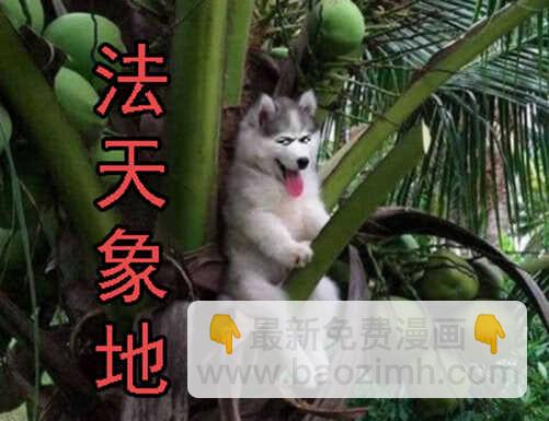 鐵姬鋼兵 - 神屍戰體 - 4