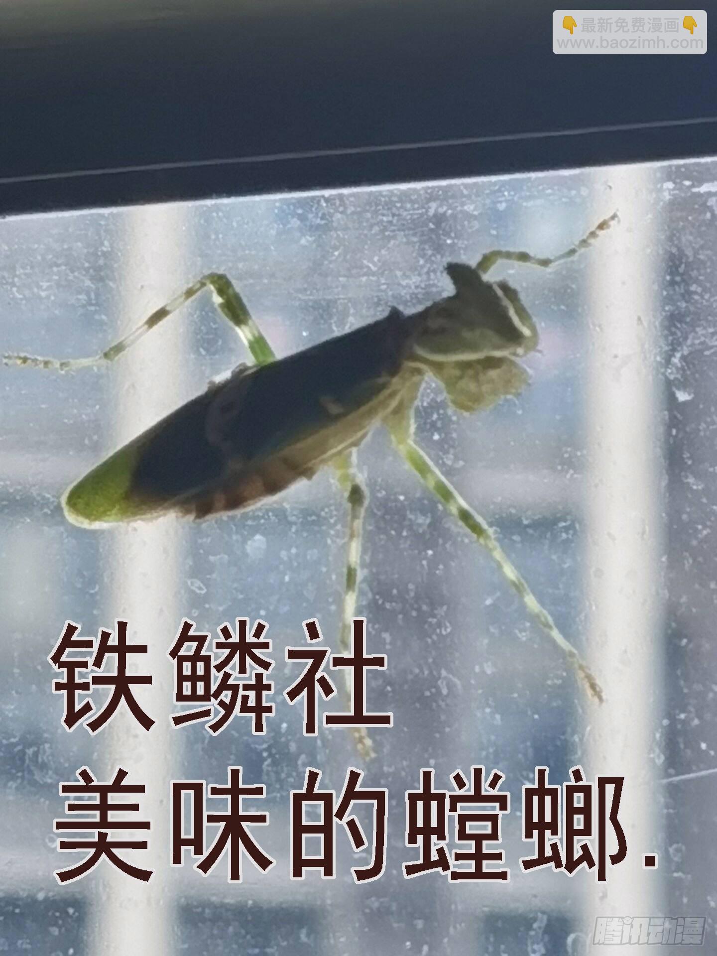 鐵姬鋼兵 - 你的靈魂 - 3