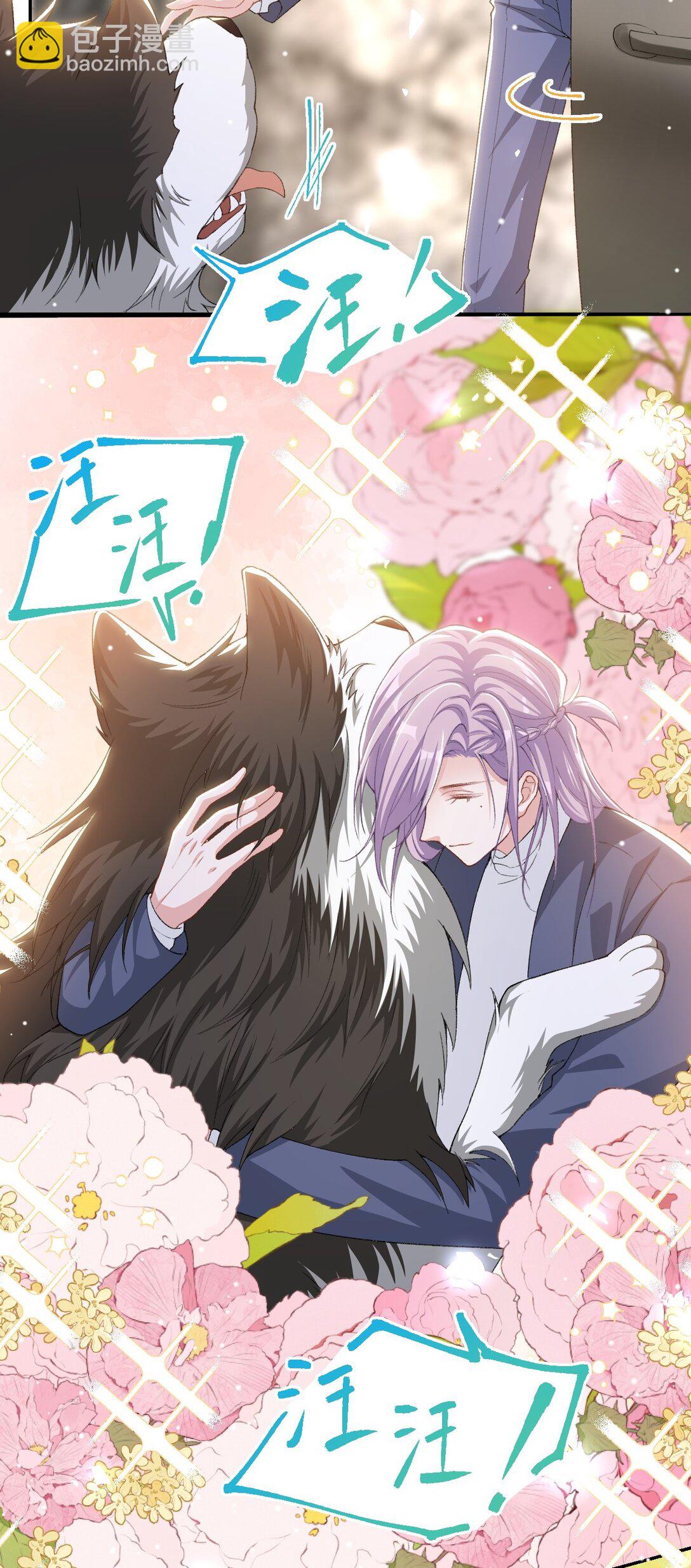 145 我们从未开始过-第147话