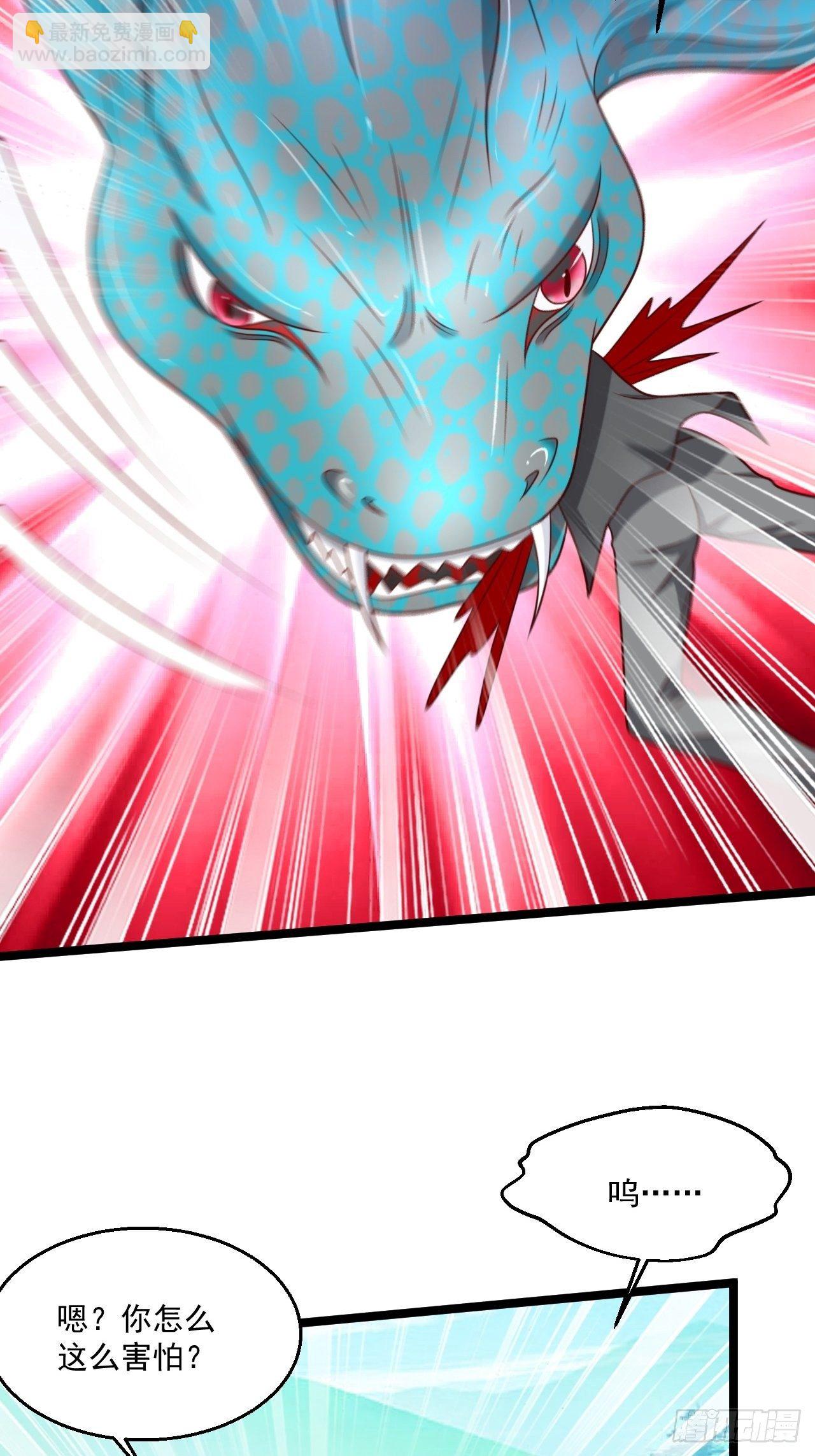 81 阴龙(1/2)-第83话