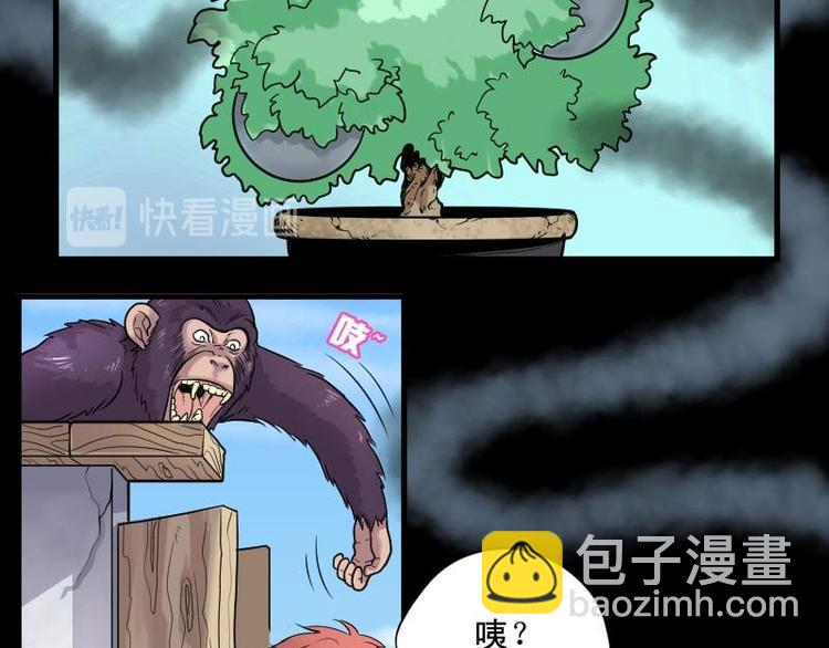 剃头匠 - 第11话 阴沉木 2 - 1