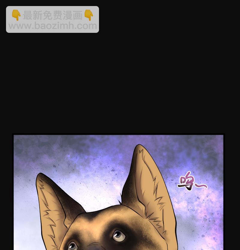 剃頭匠 - 第269話 運屍體的獸醫 4(3/3) - 2