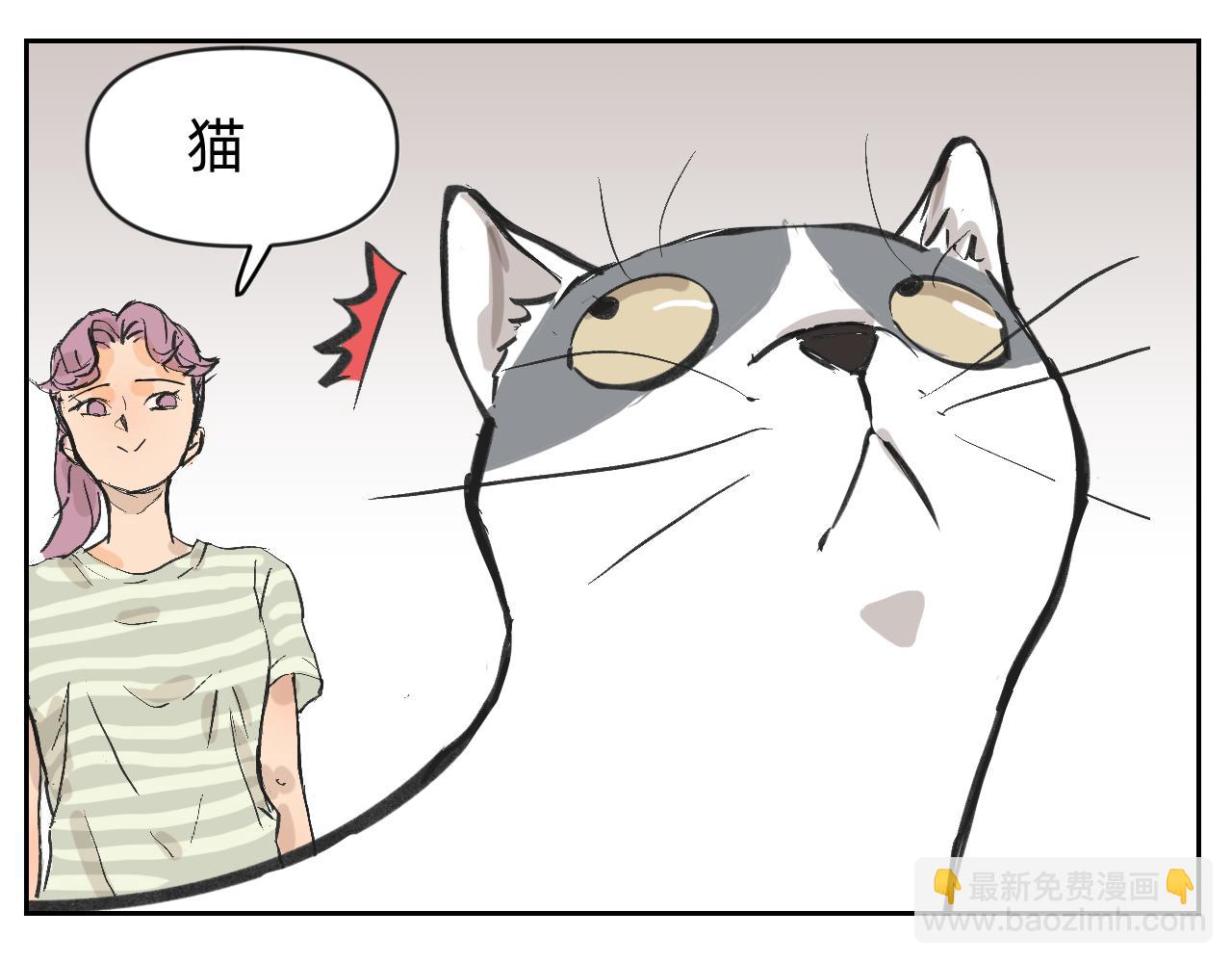 分歧的终极解决办法1-第13话