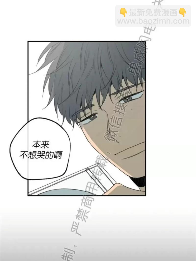 同情的形態 - 番外29(1/2) - 5
