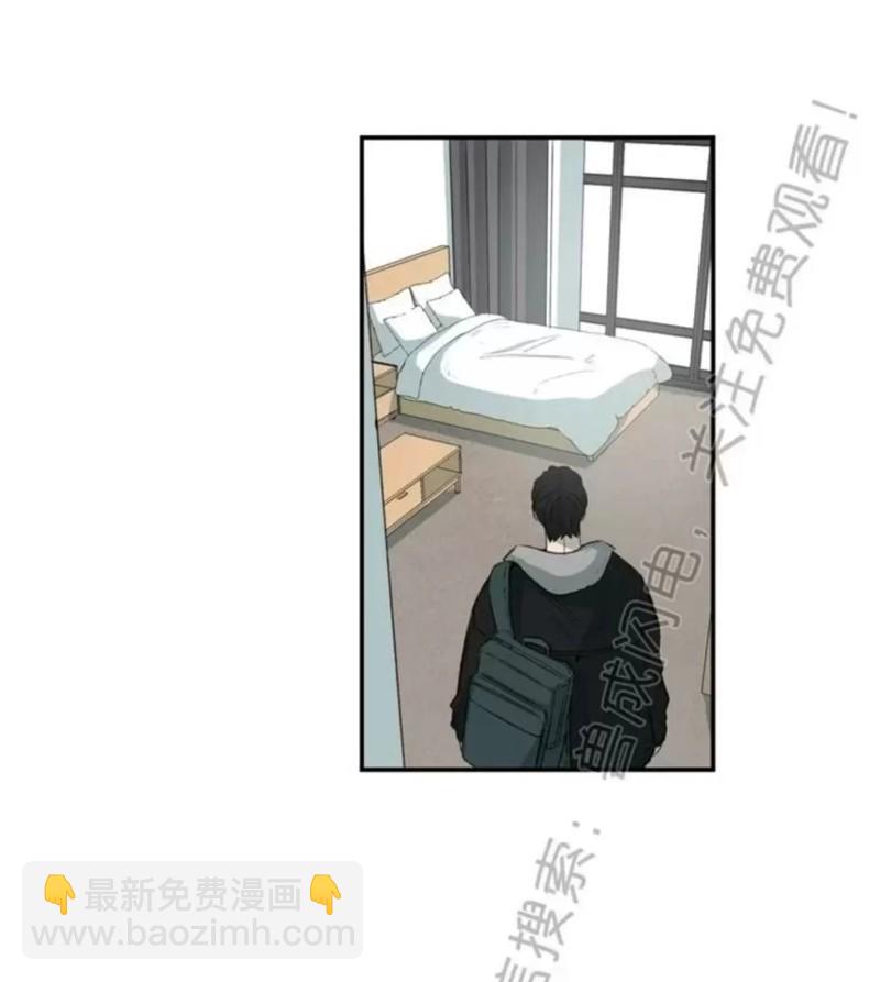 同情的形態 - 番外29(1/2) - 6