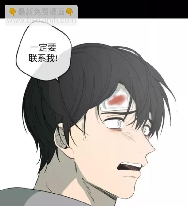 同情的形態 - 番外31(1/3) - 8