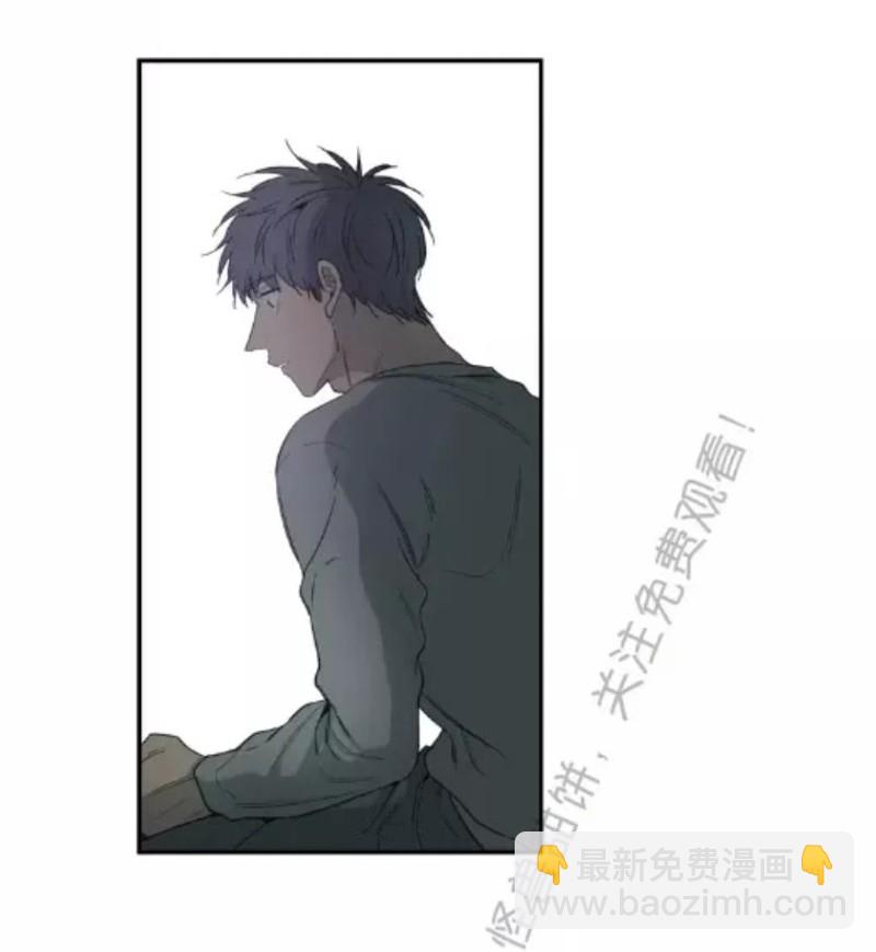 同情的形態 - 番外31(1/3) - 1