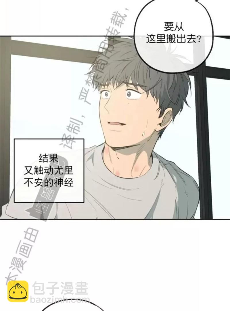 同情的形態 - 番外41(1/2) - 8