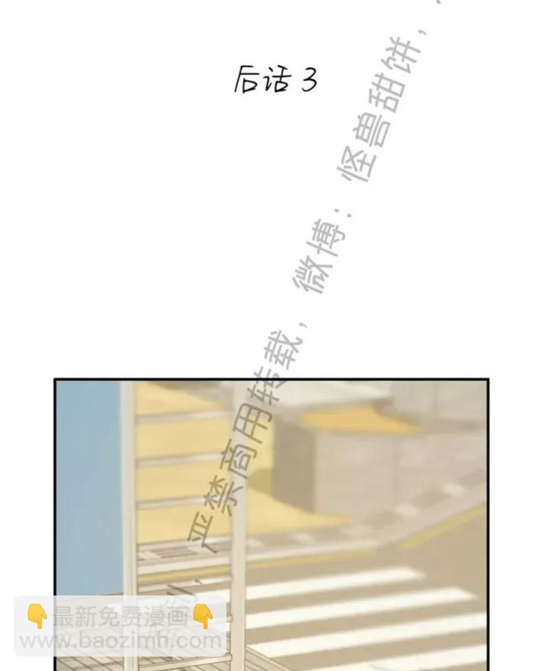 同情的形態 - 番外41(1/2) - 4