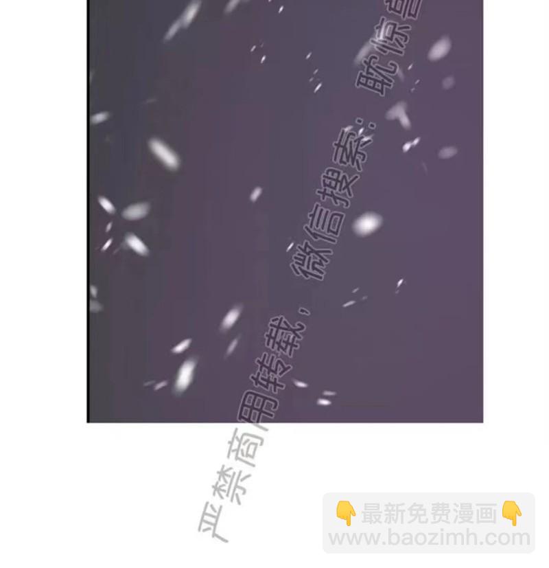 同情的形態 - 番外18(1/2) - 3
