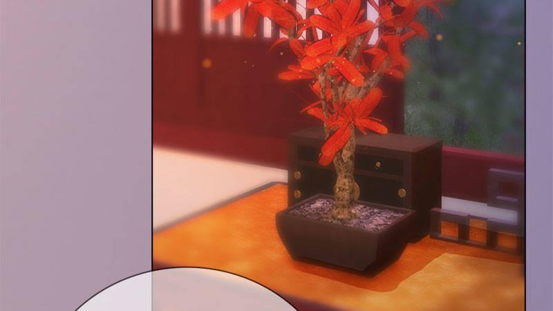 第12话：深夜暗杀(1/2)-第25话