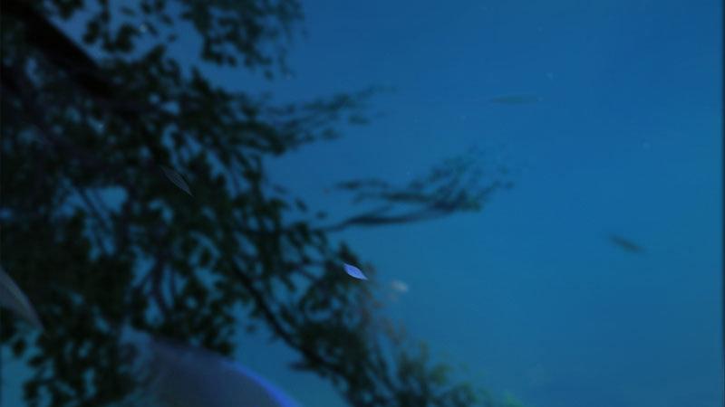 第12话：深夜暗杀(1/2)-第25话