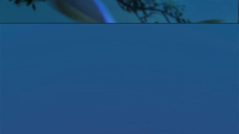 第12话：深夜暗杀(1/2)-第25话