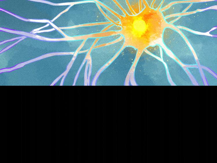 第3话 吾乃九阳圣体(1/2)-第5话