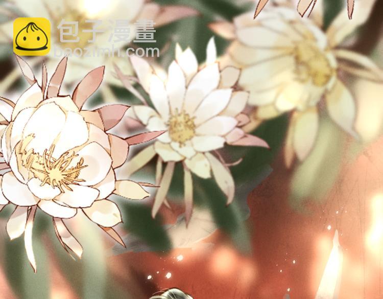 第二十六章    覆雪之阳(1/3)-第29话