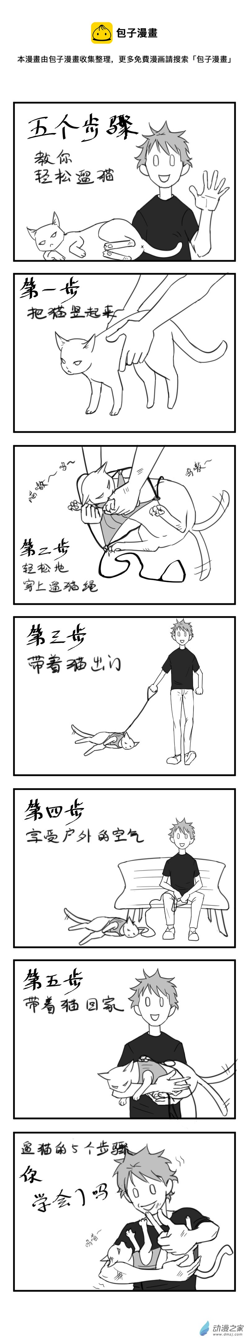 03 遛猫0