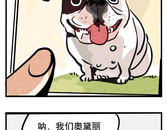 第55话 算姻缘-第55话