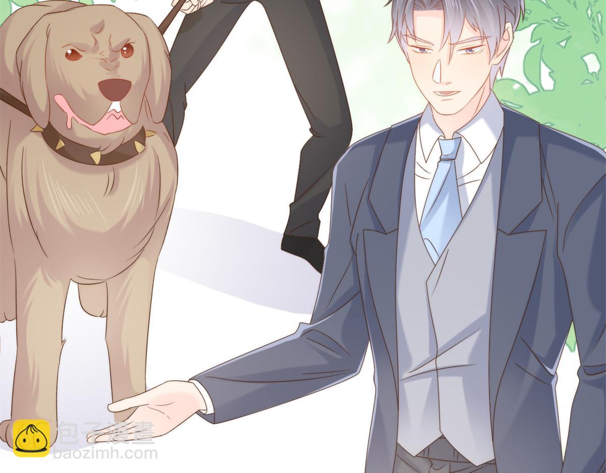 團寵大佬三歲半 - 第112話 訓犬小能手(2/3) - 5