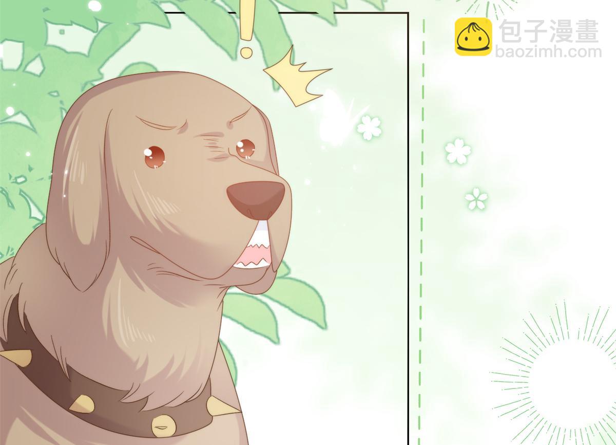 團寵大佬三歲半 - 第112話 訓犬小能手(2/3) - 6