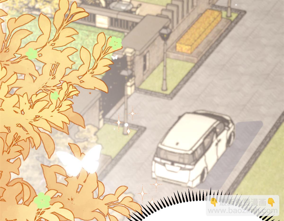 團寵大佬三歲半 - 第172話 今晚的流星好忙碌啊(1/3) - 6