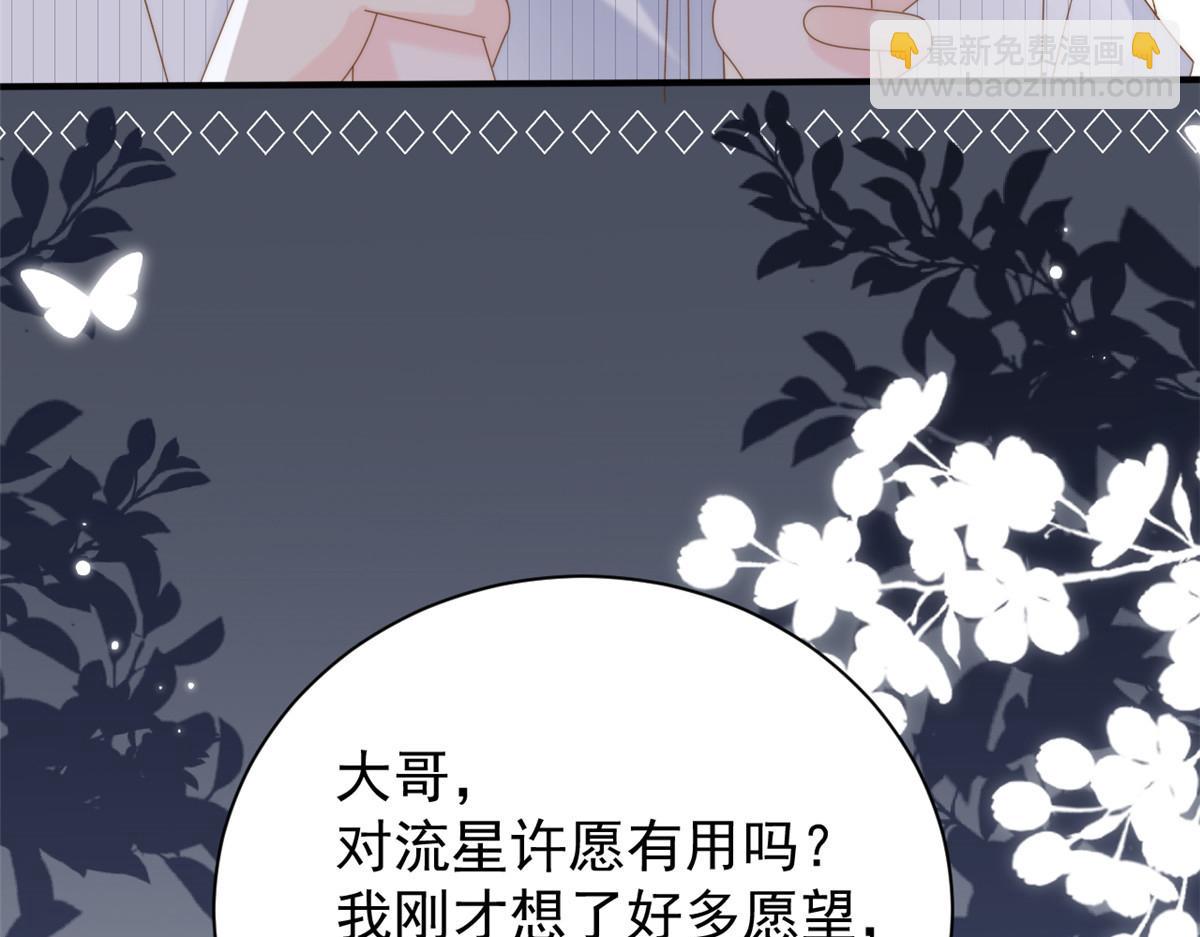 團寵大佬三歲半 - 第172話 今晚的流星好忙碌啊(2/3) - 4