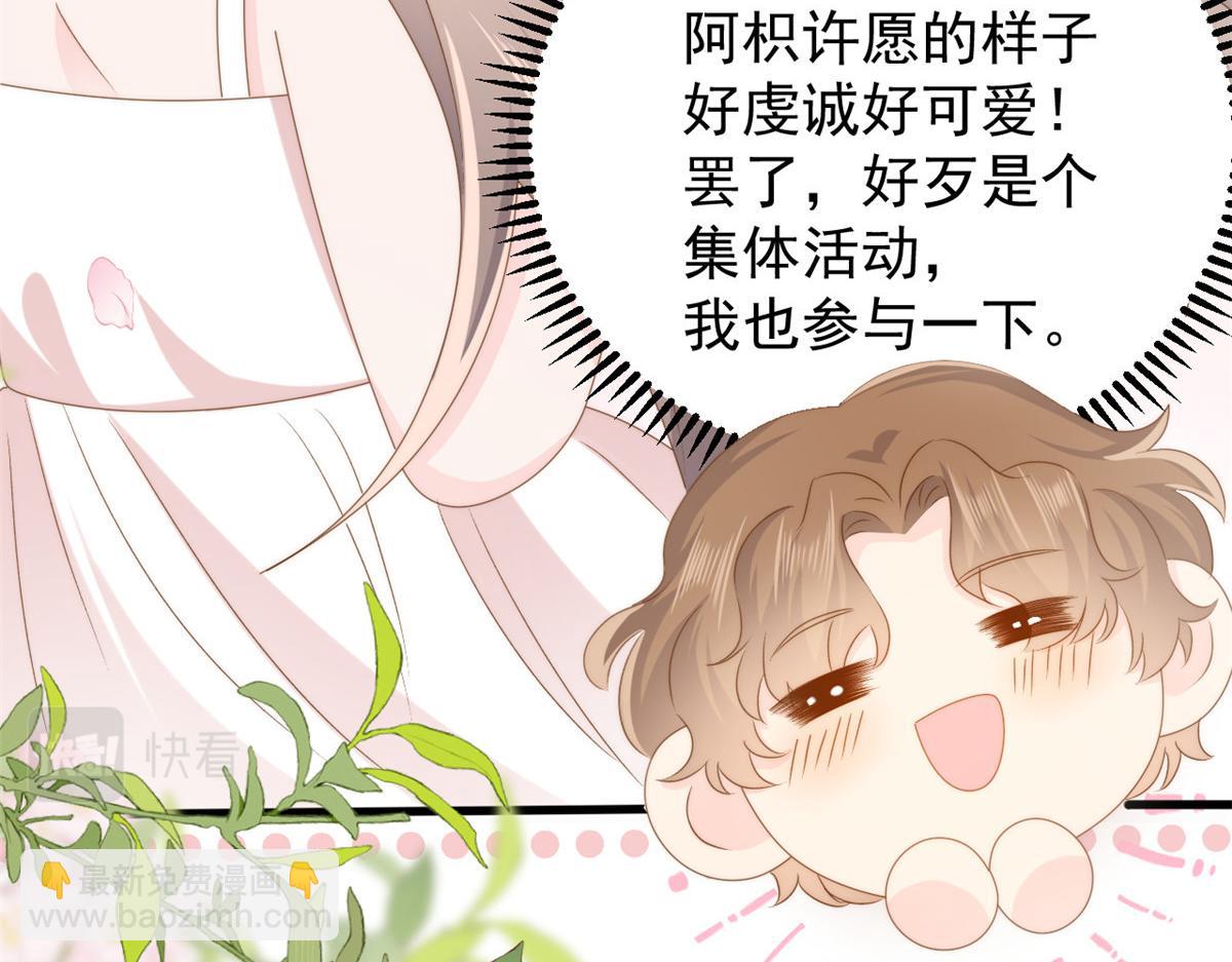 團寵大佬三歲半 - 第172話 今晚的流星好忙碌啊(2/3) - 2